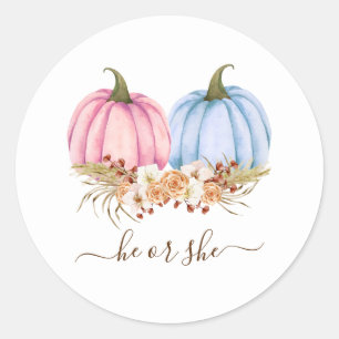 Pumpkin Gender Reveal Invitation, Fall Gender  Classic Round Sticker