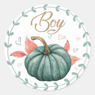 Pumpkin Gender Team Boy Reveal Stickers 