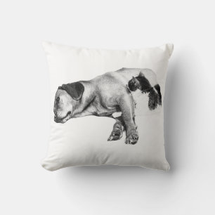 Pumpkin Glow Companions Cushion