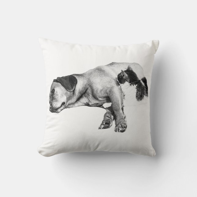 Pumpkin Glow Companions Cushion (Front)