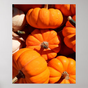 Pumpkin halloween jack o lantern orange pumpkins poster