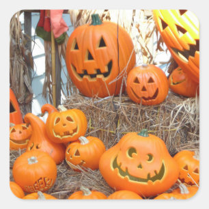 Pumpkin halloween jack o lantern orange pumpkins square sticker