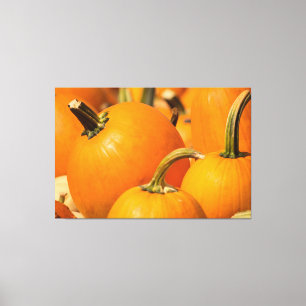 PUMPKIN HARVEST 60 X 40 WRAPPED CANVAS