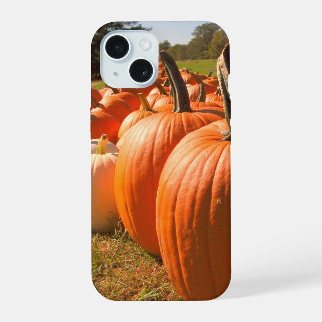Pumpkin Harvest, Pumpkin Patch Pumpkins iPhone 15 Case (Back)
