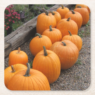 Pumpkin Harvest Seasonal Square Paper Coaster