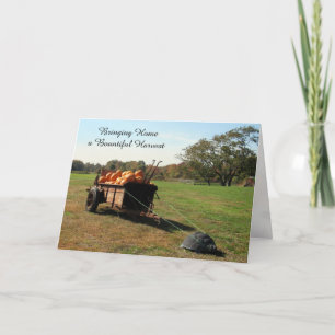 Pumpkin Harvest - Thanksgiving Card