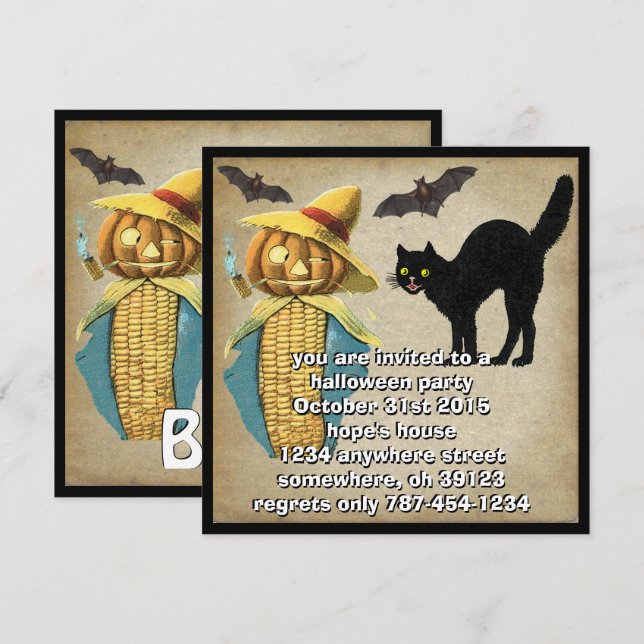 Pumpkin Head Black Cat Bats Halloween Party Invite (Front/Back)