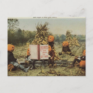 Pumpkin Heaven Postcard