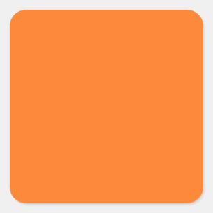 Pumpkin hex code FF7518 Square Sticker
