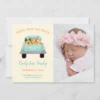 Pumpkin In Vintage Truck Fall Photo Baby Birth