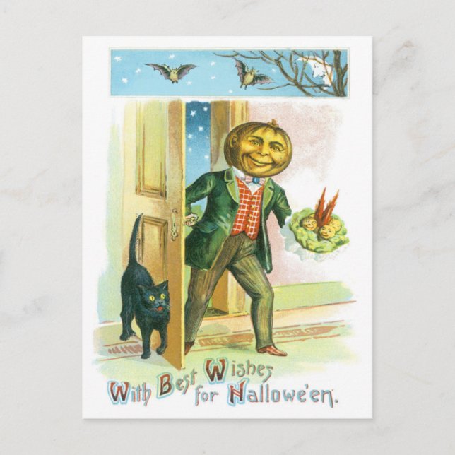 Pumpkin Jack O Lantern Black Cat Bat Postcard (Front)