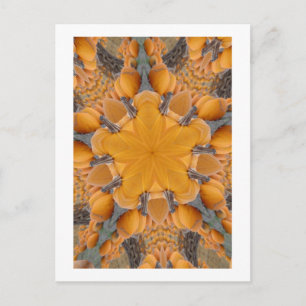 Pumpkin Kaleidoscope Postcard