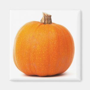 Pumpkin Magnet
