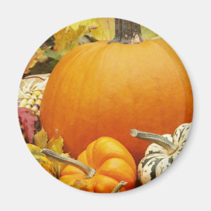 Pumpkin Magnet