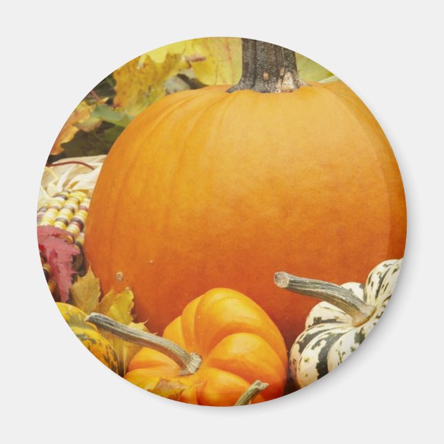 Pumpkin Magnet (Front)