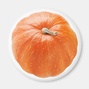 Pumpkin Magnet