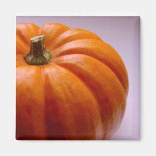Pumpkin Magnet
