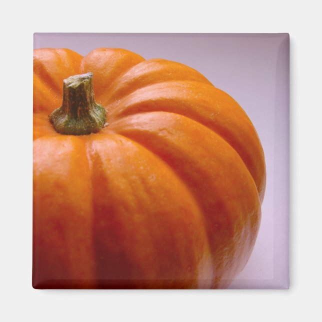 Pumpkin Magnet (Front)
