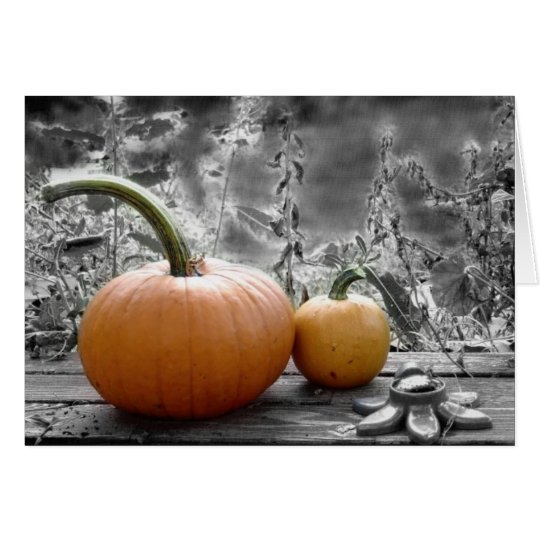 Pumpkin Note Cards