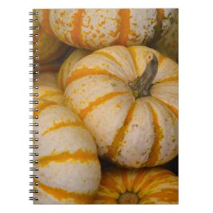 Pumpkin Notebook
