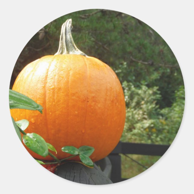 Pumpkin on Black Fence Classic Round Sticker (Front)