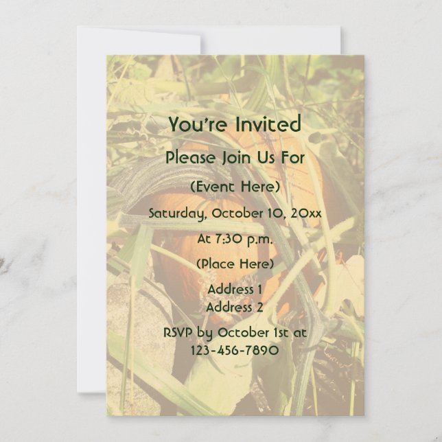 Pumpkin On The Vine Fall Nature  Invitation (Front)