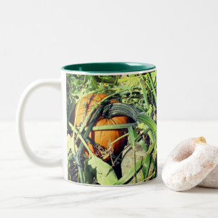 Pumpkin On Vine Fall Nature Two-Tone Coffee Mug