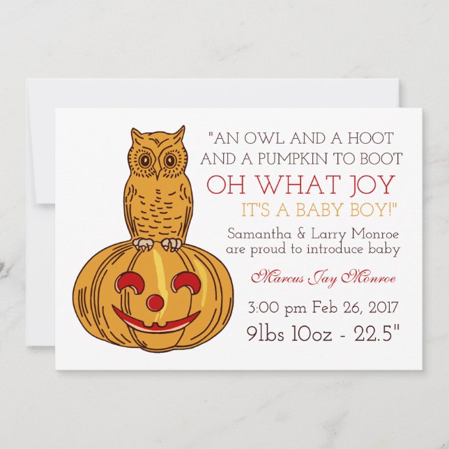 Pumpkin Owl & Gingham It's a Baby Boy Announcement (Front)