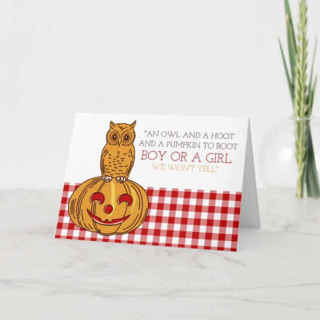 Pumpkin Owl & Gingham New Baby Announcement (Front)
