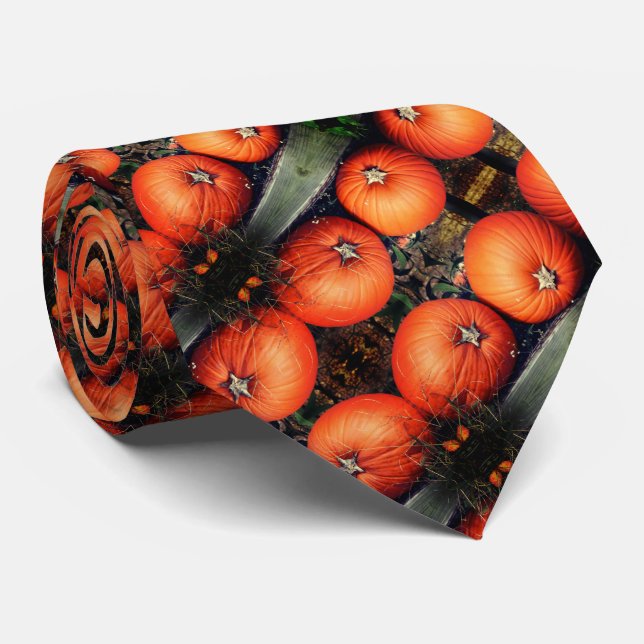Pumpkin Pair Fall Abstract Pattern Tie (Rolled)