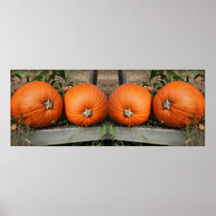 Pumpkin Pair Fall Mirror Abstract Poster