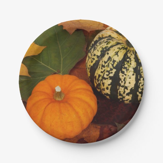 Pumpkin paper plate  (Front)