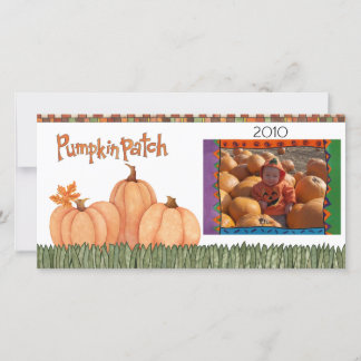 pumpkin patch