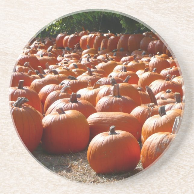 Pumpkin Patch Autumn Harvest Photography Coaster (Front)