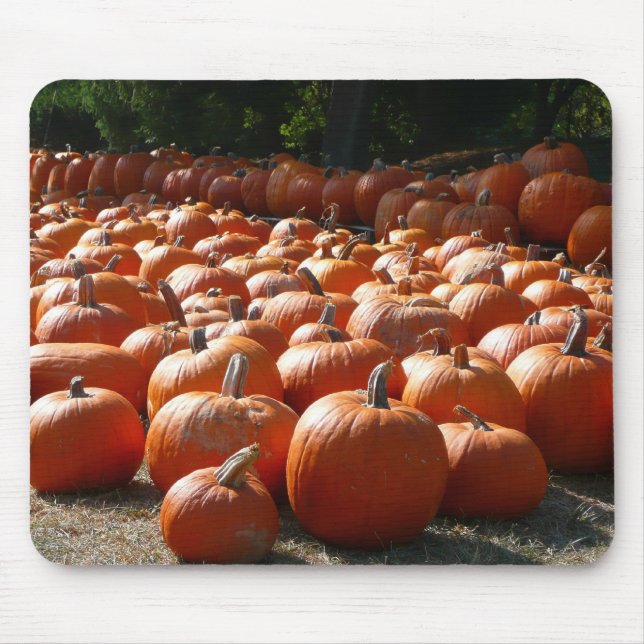 Pumpkin Patch Autumn Harvest Photography Mouse Mat (Front)