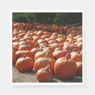 Pumpkin Patch Autumn Harvest Photography Napkin