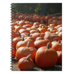 Pumpkin Patch Autumn Harvest Photography Notebook