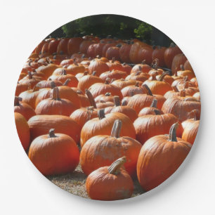Pumpkin Patch Autumn Harvest Photography Paper Plate