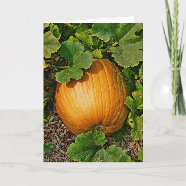 Pumpkin Patch Card (Front)
