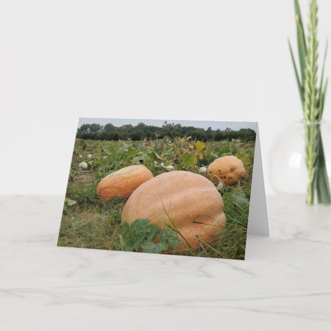 Pumpkin patch card (Front)