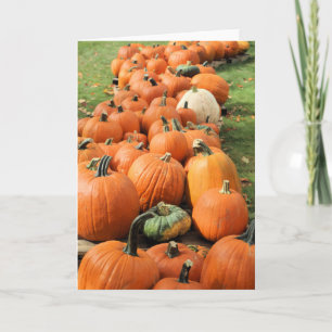 Pumpkin Patch Card