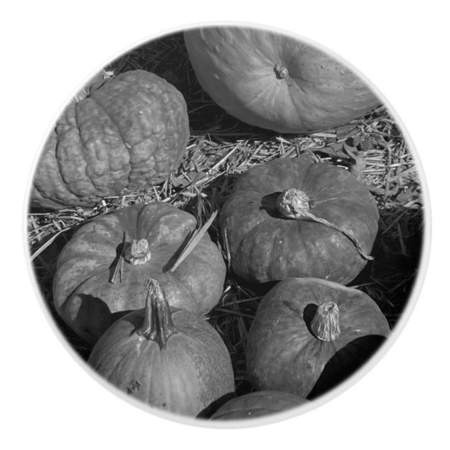 Pumpkin Patch Ceramic Knob (Front)