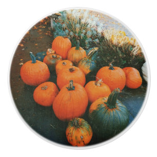 Pumpkin Patch Ceramic Knob
