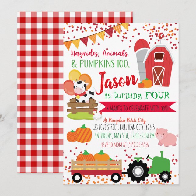 Pumpkin Patch Farmer Boys Red Gingham Birthday Invitation (Front/Back)