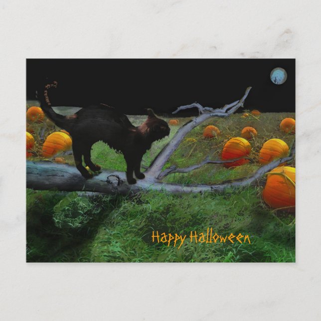 Pumpkin patch, Happy Halloween Postcard (Front)