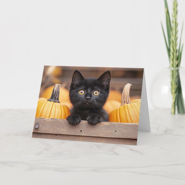 Pumpkin Patch Kitten Card (Front)