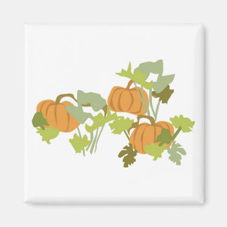 Pumpkin Patch Magnet