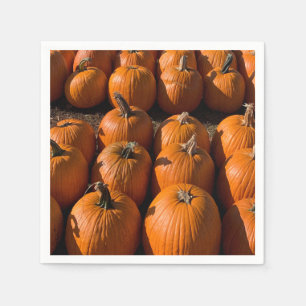 Pumpkin Patch Napkin