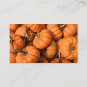 Pumpkin Patch Orange Harvest Garden Gourds Photo Business Card