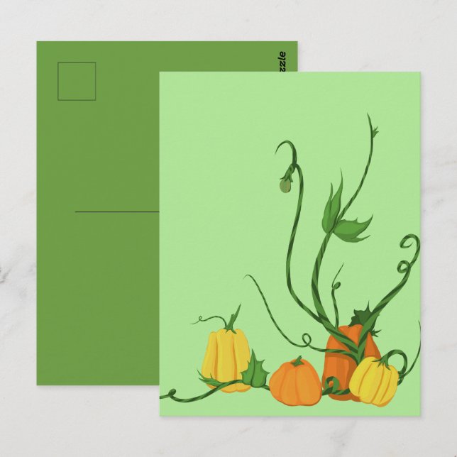 Pumpkin Patch Postcard (Front/Back)